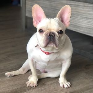 Meet your Posher, Natalie